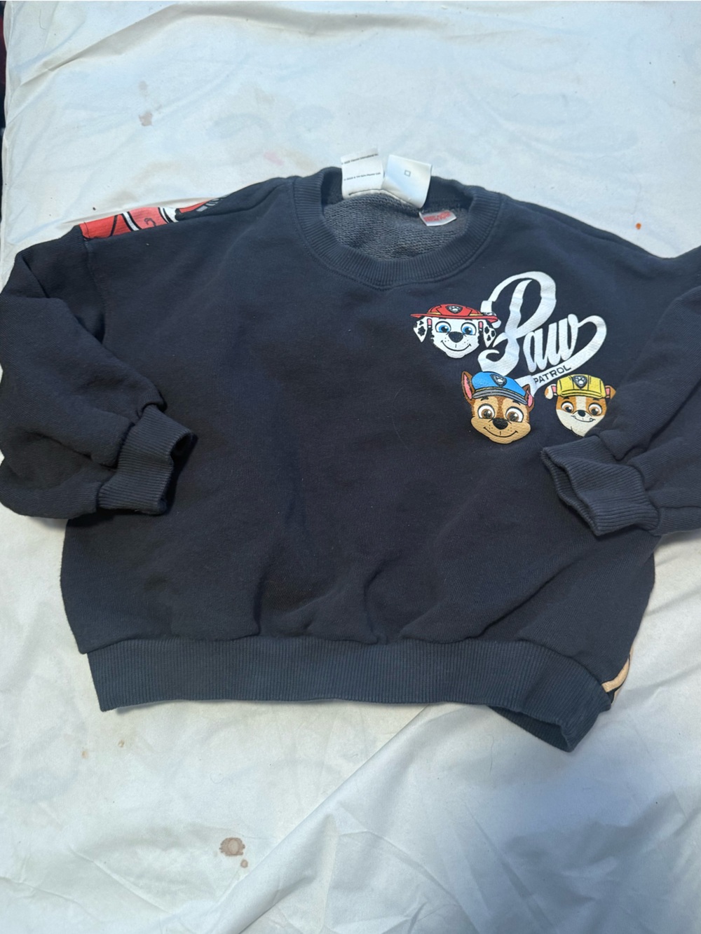 Zara paw patrol sweater